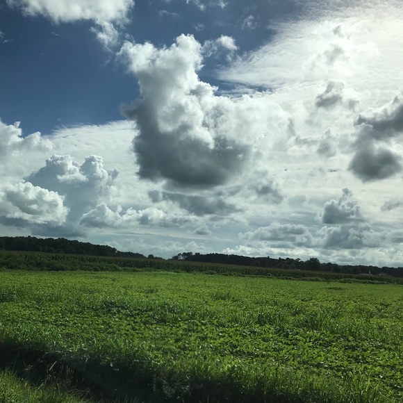 Meet your Posher, Ricky - Picture 1 of 2